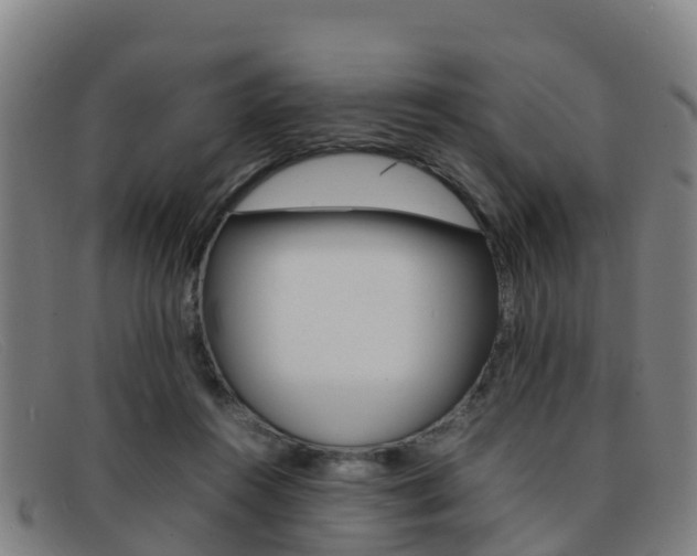 X0000092070360200709121030