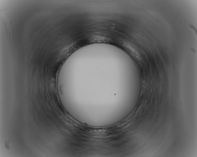 X0000092070361200709121030