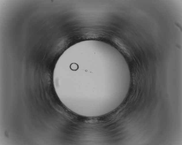 X0000092070362200709121030