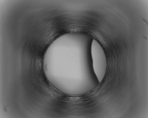 X0000092070363200709121030