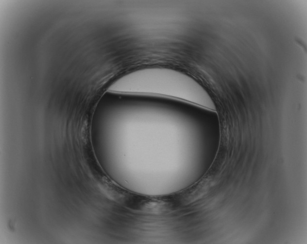 X0000092070364200709121030