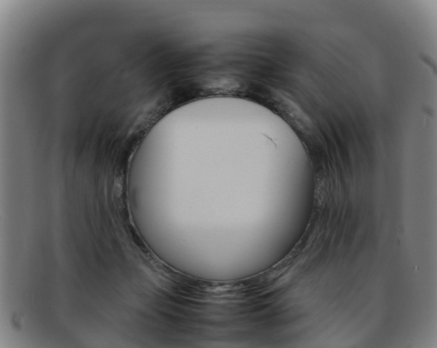 X0000092070365200709121030