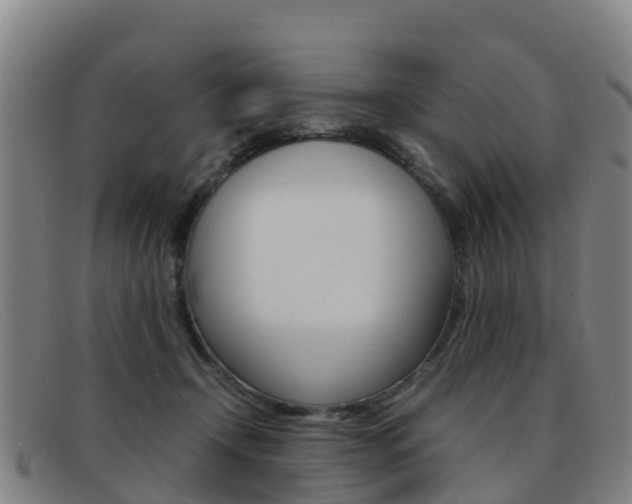 X0000092070366200709121030
