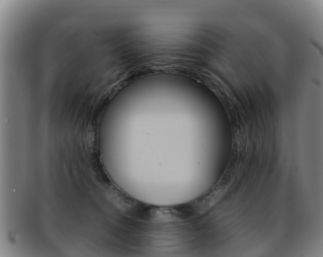 X0000092070372200709121030