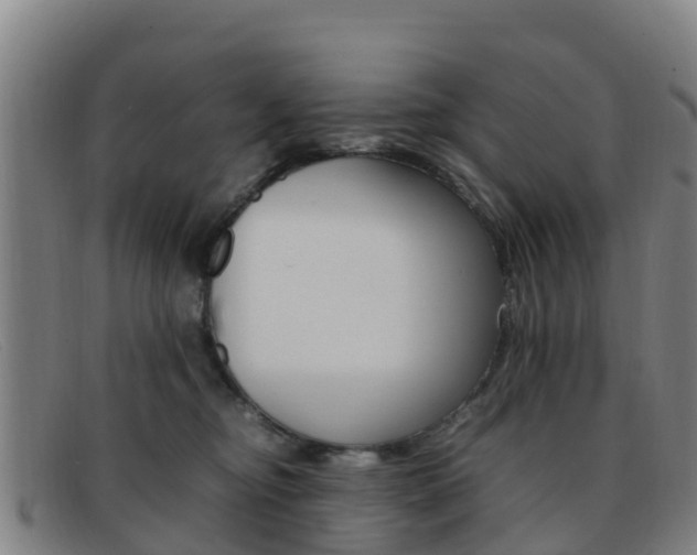 X0000092070374200709121030
