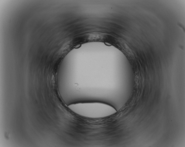 X0000092070375200709121030