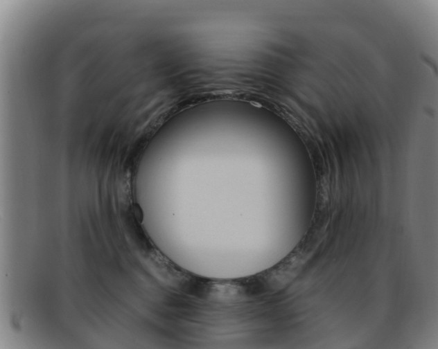X0000092070376200709121030