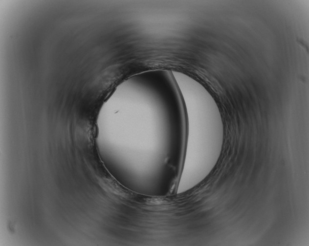 X0000092070380200709121030
