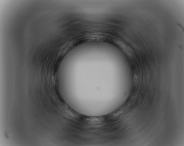 X0000092070381200709121030