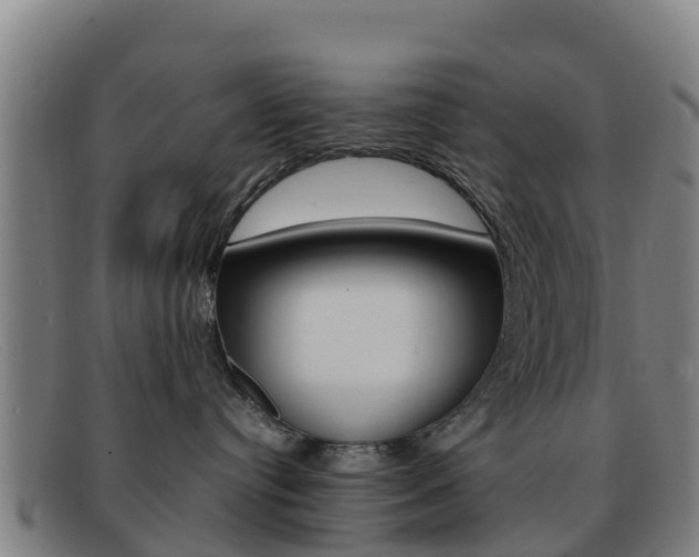 X0000092070384200709121030