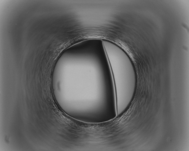 X0000092070385200709121030
