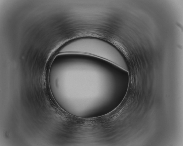 X0000092070388200709121030