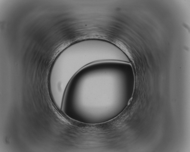 X0000092070389200709121030