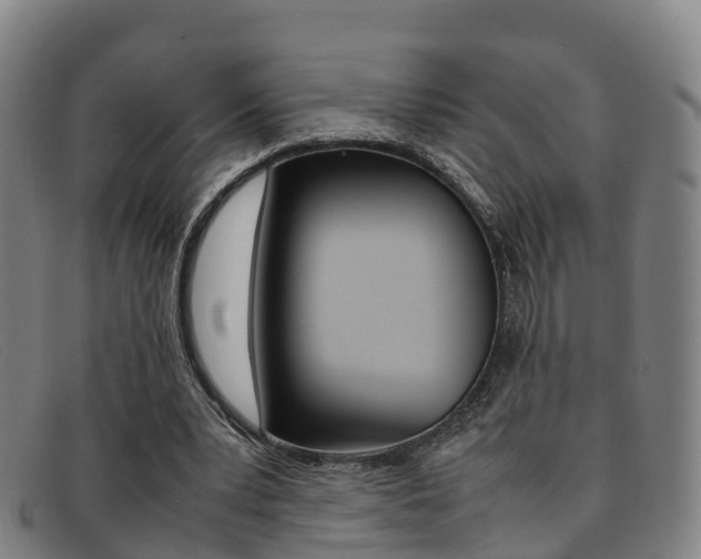 X0000092070391200709121030