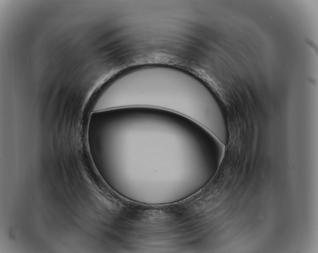 X0000092070392200709121030