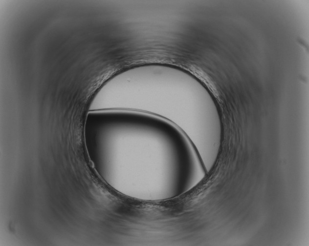 X0000092070393200709121030