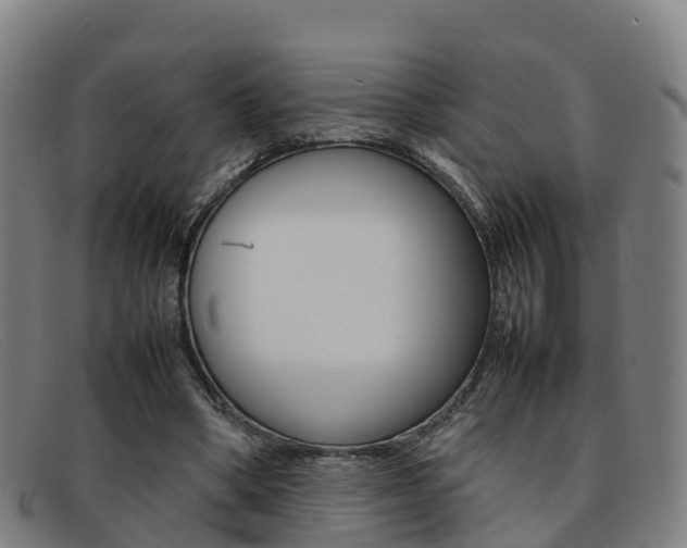 X0000092070394200709121030