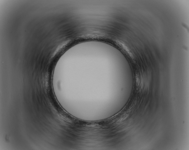 X0000092070396200709121030
