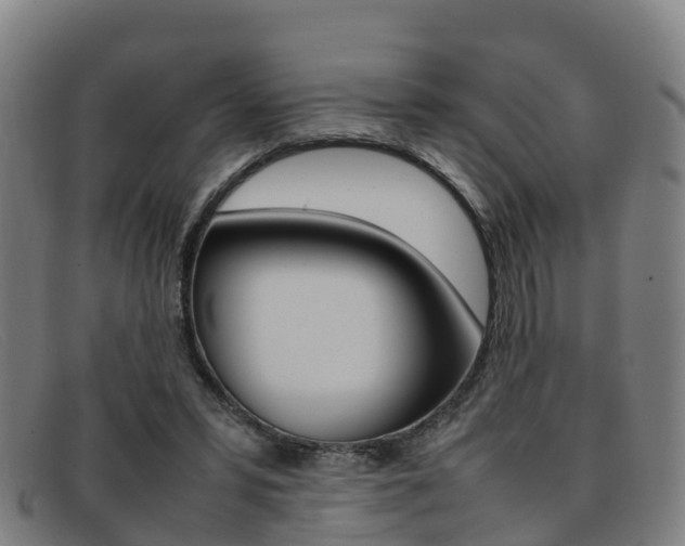 X0000092070399200709121030