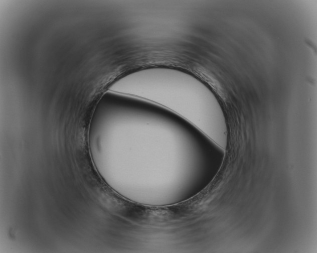 X0000092070401200709121029