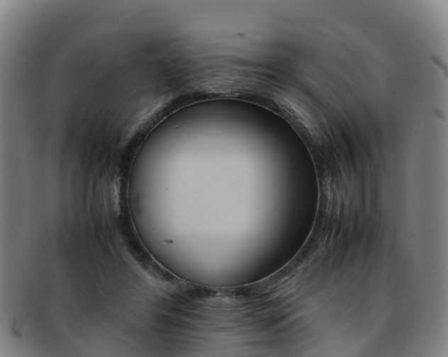 X0000092070404200709121029