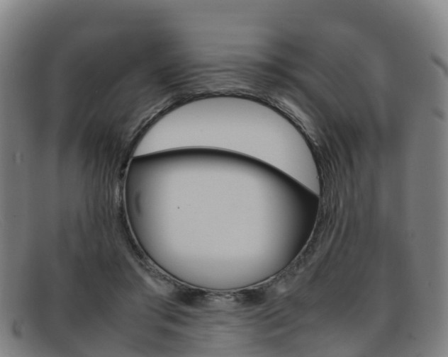 X0000092070405200709121029