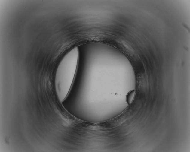 X0000092070408200709121029