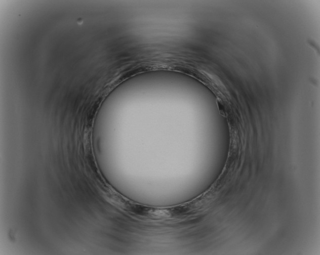 X0000092070409200709121029