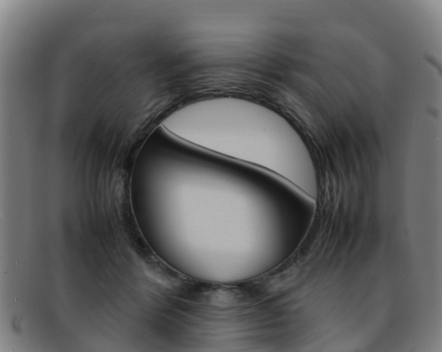 X0000092070412200709121029