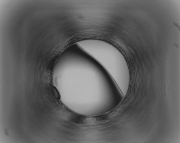 X0000092070413200709121029