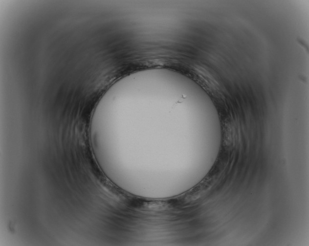 X0000092070414200709121029