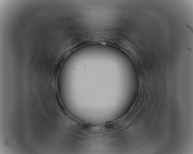 X0000092070415200709121029