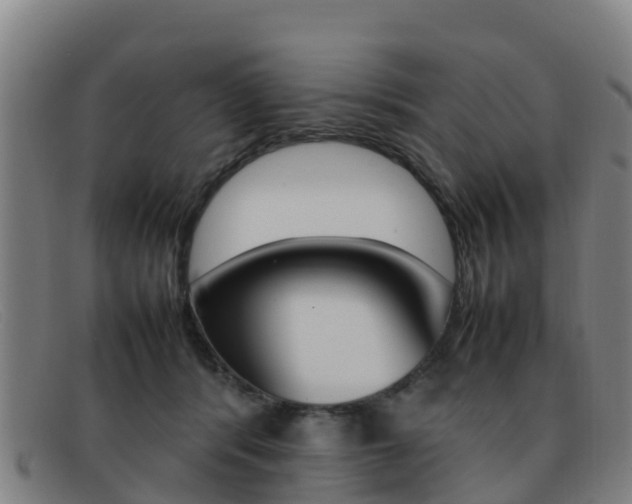 X0000092070416200709121029