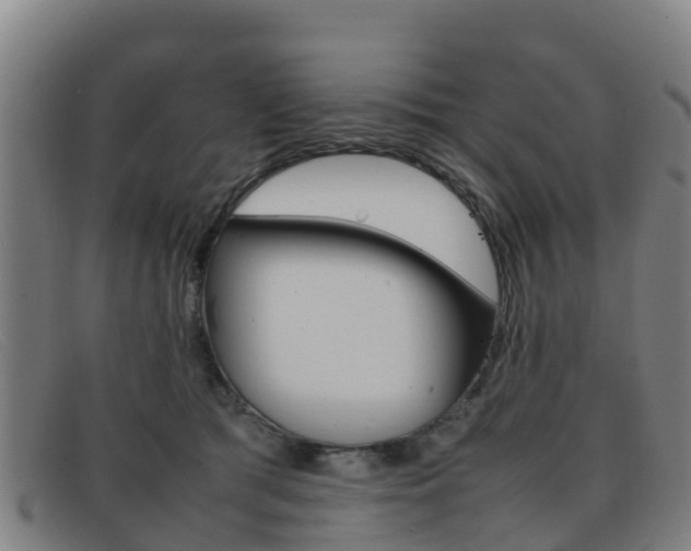 X0000092070417200709121029