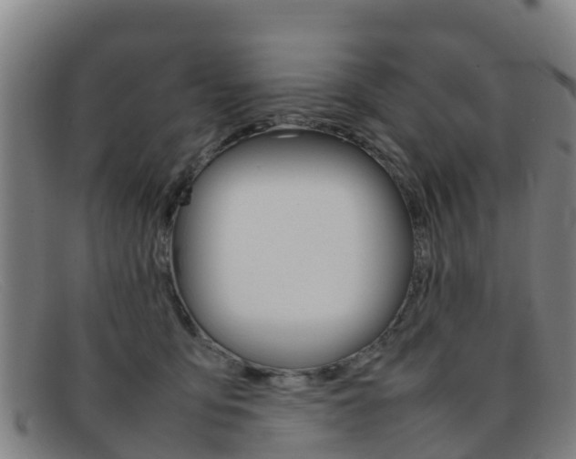 X0000092070419200709121029