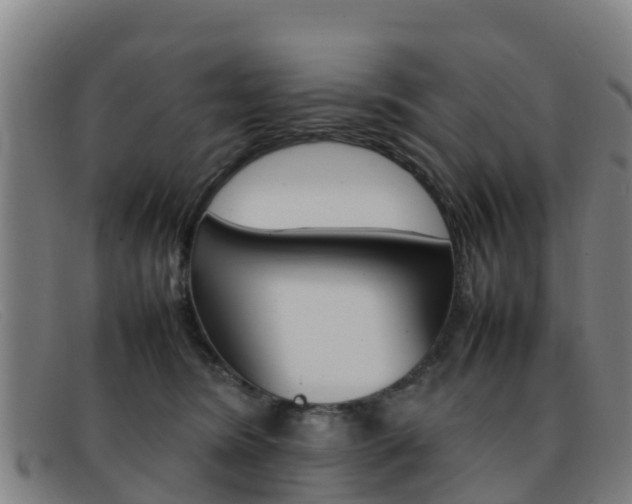 X0000092070420200709121029