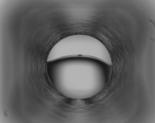 X0000092070421200709121029