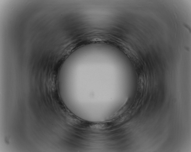 X0000092070422200709121029