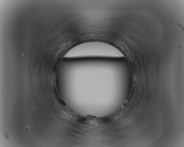 X0000092070423200709121029