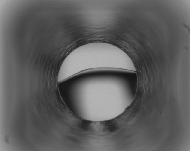 X0000092070425200709121029