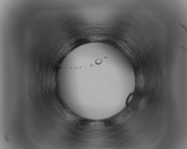 X0000092070426200709121029