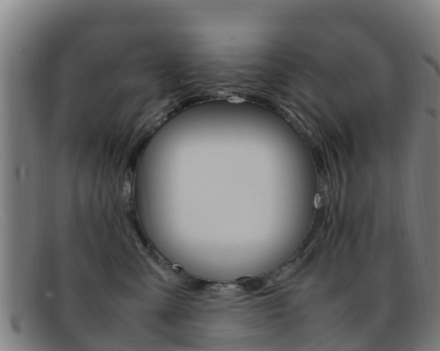 X0000092070427200709121029