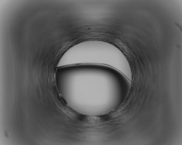 X0000092070429200709121029