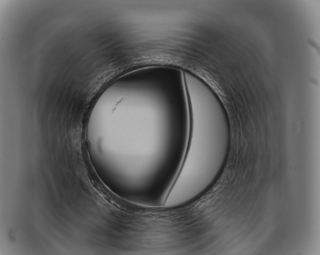 X0000092070434200709121029