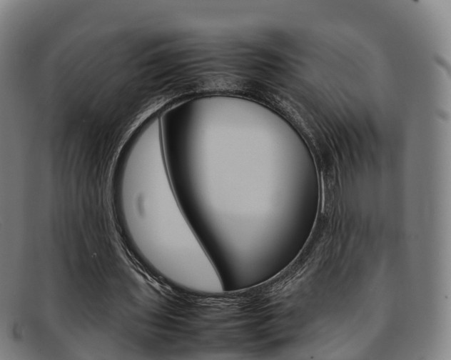 X0000092070435200709121029
