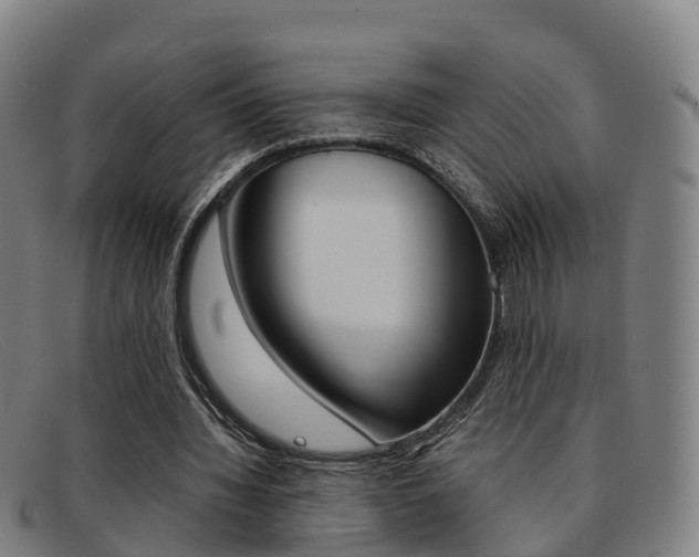 X0000092070436200709121029