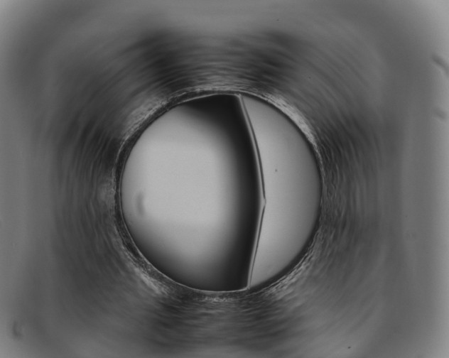 X0000092070437200709121029