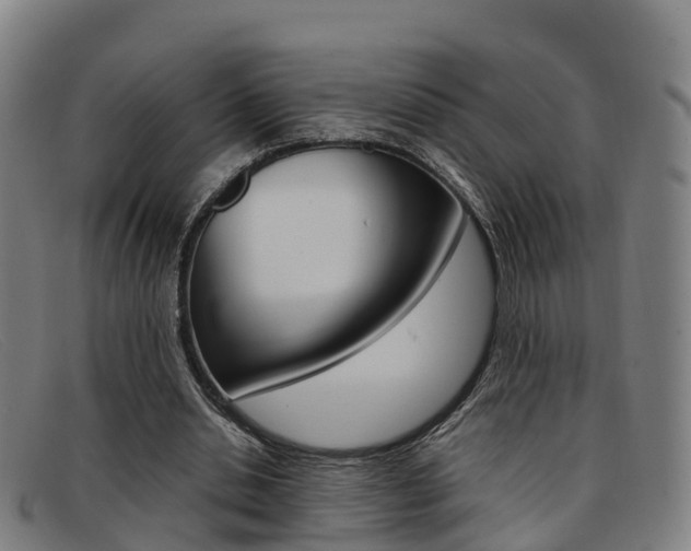 X0000092070438200709121029