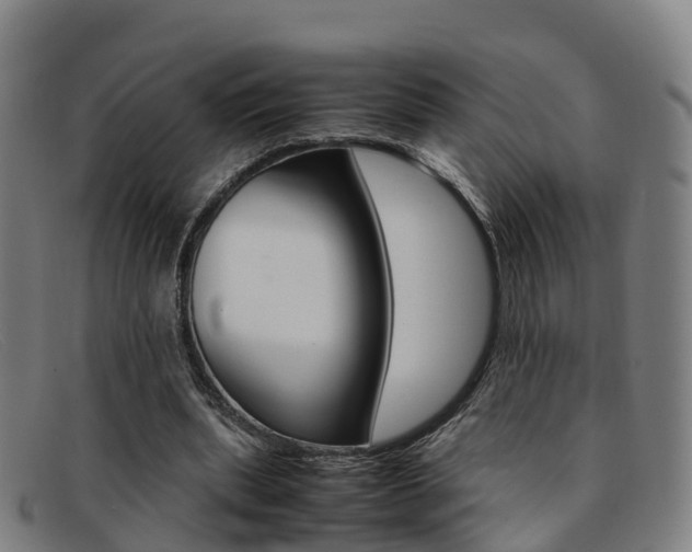 X0000092070439200709121029