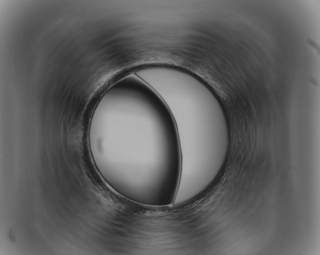 X0000092070440200709121029